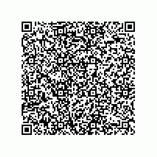 vCard 74822710333