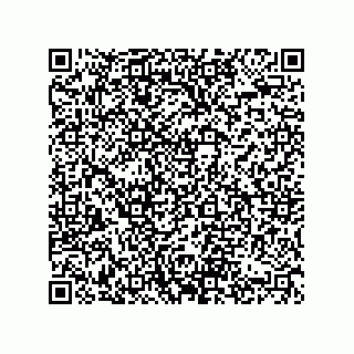 vCard 74822710399