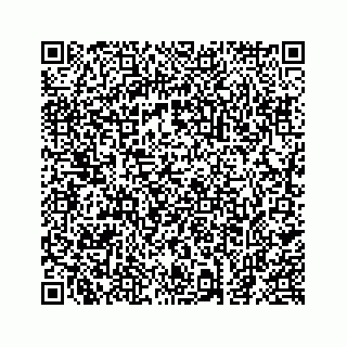 vCard 74823140381