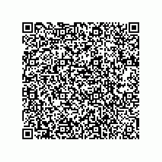 vCard 74823465331