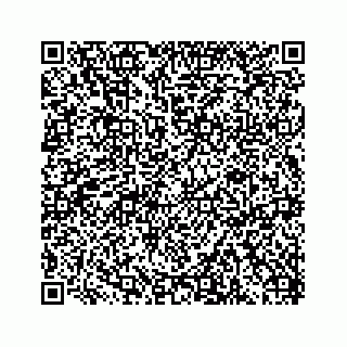 vCard 74823920379