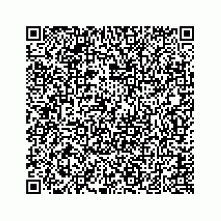 vCard 74823920380