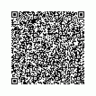vCard 74823920381