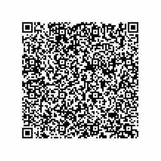 vCard 74824277333