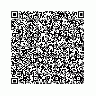vCard 74825321319
