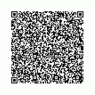 vCard 74825321333