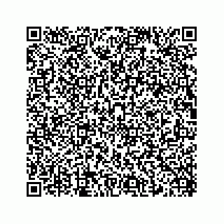 vCard 74825321387