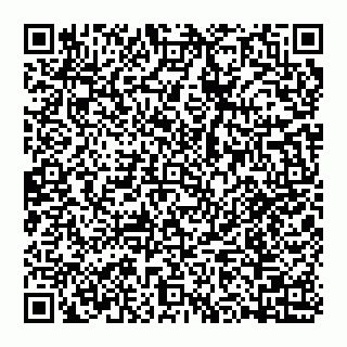 vCard 74992839133