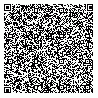 vCard 74993402063