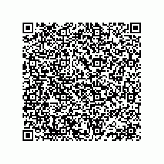 vCard 78152620379