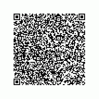 vCard 78152620385