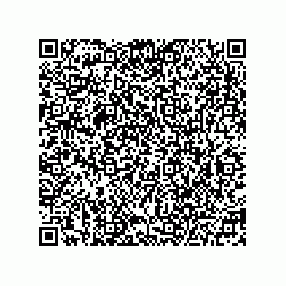 vCard 78215196603