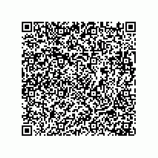 vCard 78453490100