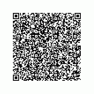 vCard 78453490313
