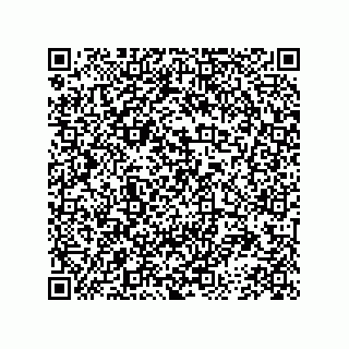 vCard 78453490380