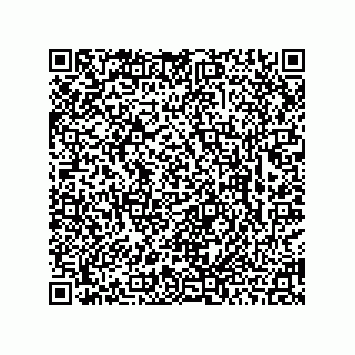 vCard 78463726211
