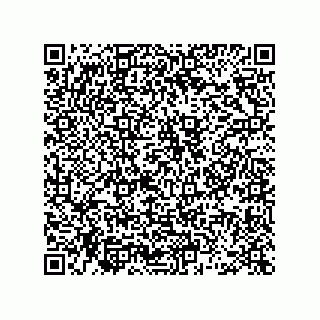 vCard 78463726219