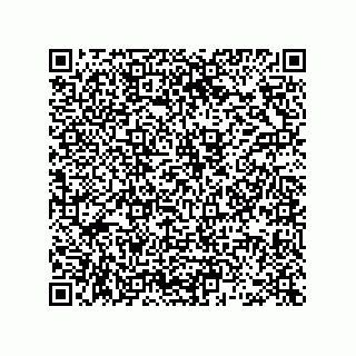 vCard 78463726279