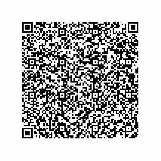 vCard 78463726309