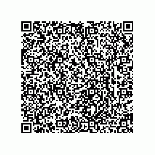 vCard 78463726313