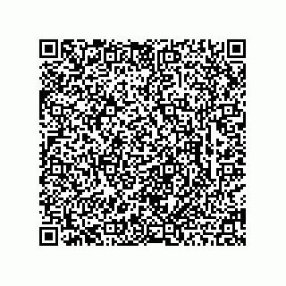 vCard 78463726314