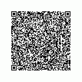 vCard 78463726317