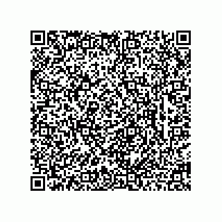 vCard 78463726319