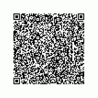 vCard 78463726331