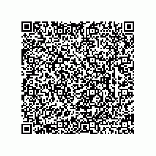 vCard 78463726380