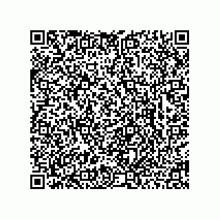 vCard 78463726403