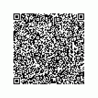 vCard 78463726409