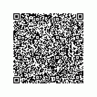 vCard 78463726411