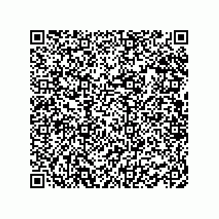 vCard 78463726447