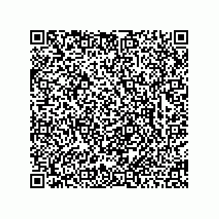 vCard 78463726499