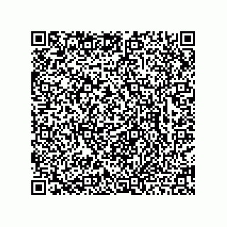 vCard 78463726503