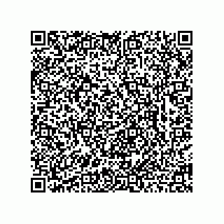 vCard 78463726519