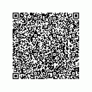 vCard 78463726529