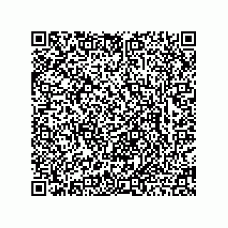 vCard 78463726533