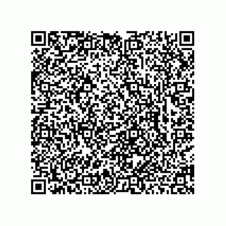 vCard 78463726538