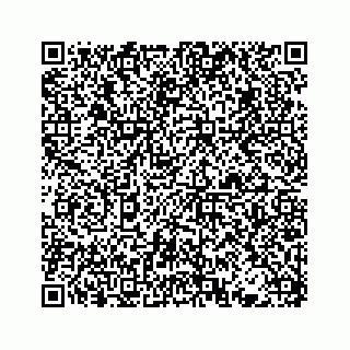 vCard 78713226209