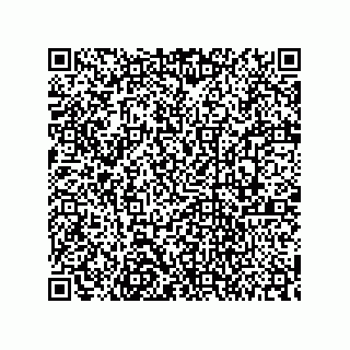 vCard 78732200029