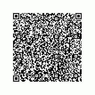 vCard 78732225379