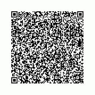 vCard 78734729977