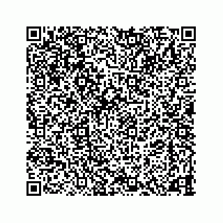 vCard 78734729984