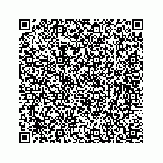 vCard 78734729994