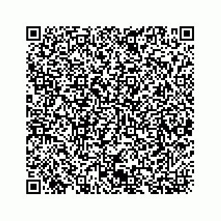 vCard 78734729995