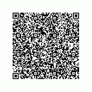 vCard 79011520321