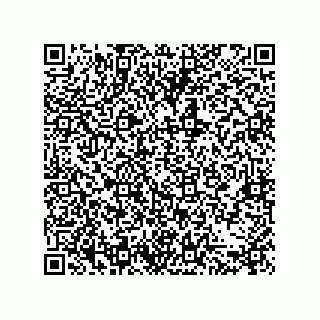 vCard 79011520331
