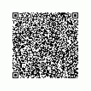 vCard 79011520381