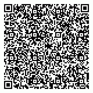 vCard 79014798381